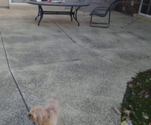 sunken concrete patio