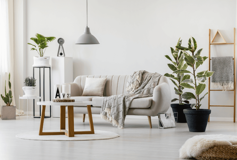 living room area with aesthetic furniture