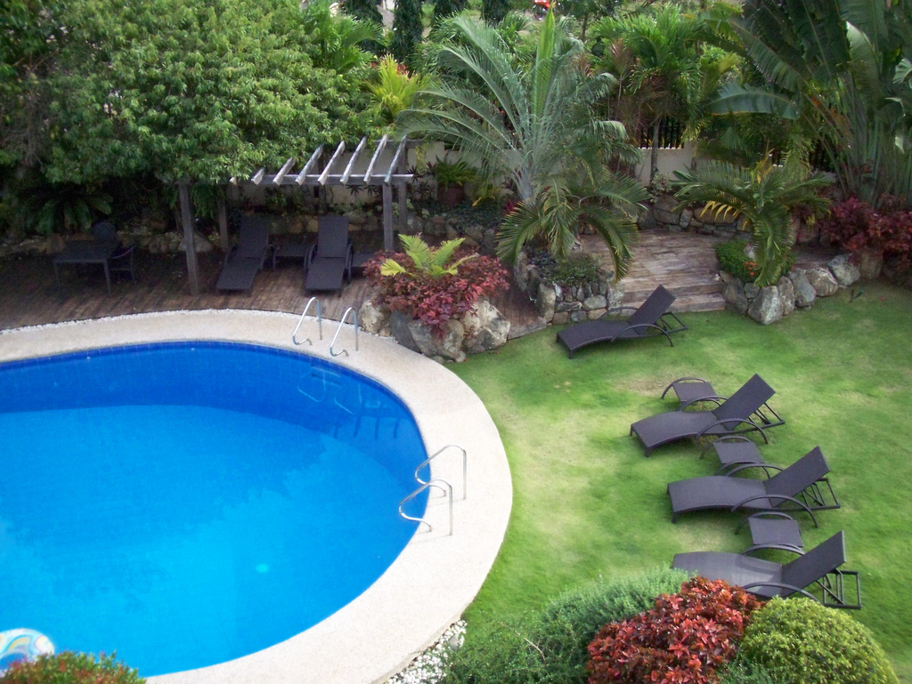 Choosing the Best Plants for Poolside Landscape