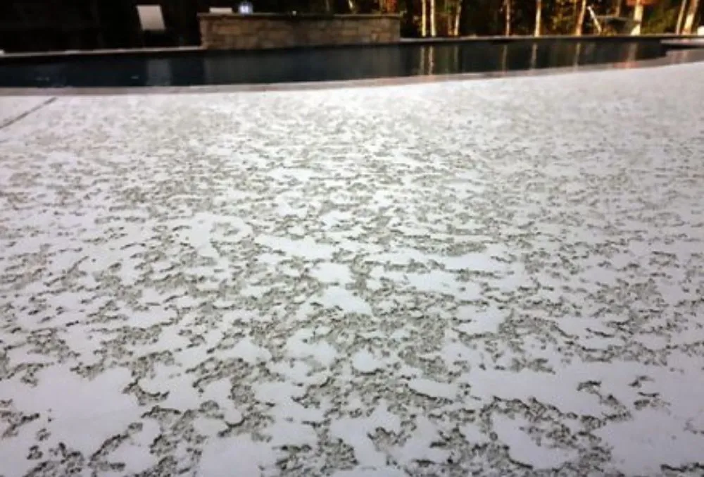 textured concrete pool deck in San Jose